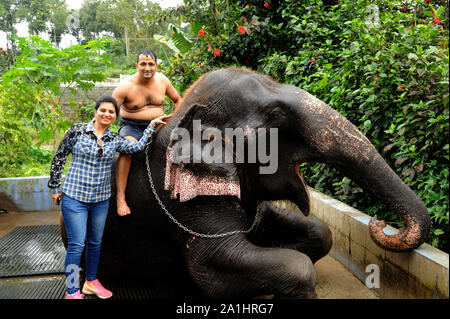 Allapuzha ou d'Alleppey, Kerala, Inde - Asie du Sud-Est - Novembre 2017 : Cheerful couple aimant les jeunes Indiens près de l'éléphant. Banque D'Images