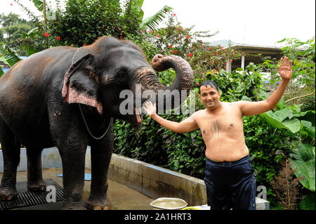 Allapuzha ou d'Alleppey, Kerala, Inde - Asie du Sud-Est - gai Jeune homme posant indien près de l'elephant de prendre une douche. Banque D'Images