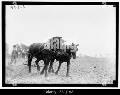 La guerre d'urgence NATIONAL GARDENS COM. FARMERETTES Banque D'Images