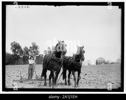 La guerre d'urgence NATIONAL GARDENS COM. GIRL SCOUTS ET AUTRES Banque D'Images