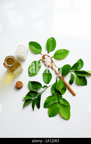 Produit de soin naturel aux herbes maison à partir de feuilles de citron, ébullition au sel avec de l'eau faire bain de bouche pour l'hygiène dentaire, bactéries de traitement dans la cavité buccale Banque D'Images