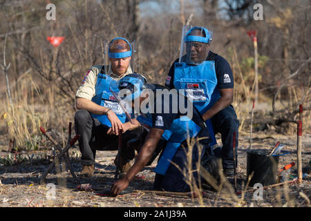 Le duc de Sussex et Halo Gestionnaire régional Jose Antonio (droit) voir plus clair que le mien Jorge Joao Cativa démontre des techniques de déminage à un champ de mines dans la région de Dirico, en Angola, au cours d'une visite pour voir le travail de déminage la charité le Halo Trust, sur cinq jours de la tournée royale de l'Afrique. Banque D'Images