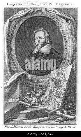 WILLIAM HARVEY (1578-1657) Physicien anglais Banque D'Images