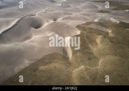 (190927) -- BEIJING, le 27 septembre 2019 (Xinhua) -- File photo prise le 28 mars 2019 sous les barrières de sable montre Ant Forest initiative dans le désert de Tengger, nord-ouest de la Chine, la province du Gansu. (Ant Forest/document via Xinhua) Banque D'Images