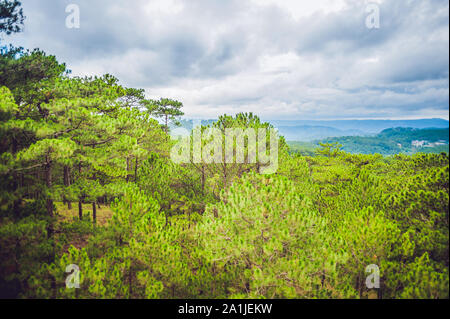 Paysage fantastique de montagnes de Dalat, le Viet Nam, l'atmosphère fraîche, villa entre forêt, impression forme de colline et de montagne, vue splendide haut Banque D'Images