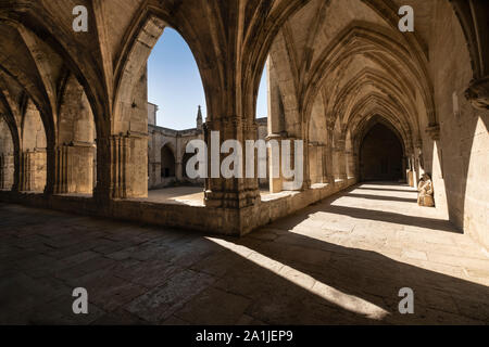 Au cloître de la cathédrale Saint-Nazaire de Béziers et Saint Celse. Monument gothique construit sur le site du massacre par la croisade des Albigeois Banque D'Images