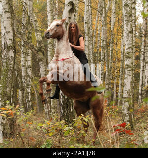 Jolie jeune fille sur le cheval caracolant en automne forrest Banque D'Images