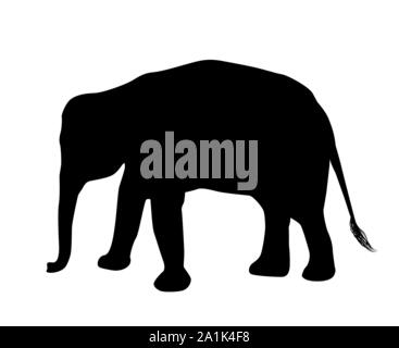 Silhouette d'éléphant isolé sur fond blanc vector Illustration de Vecteur