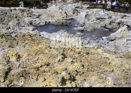 Tikitere, ou "Hell's Gate" est une zone géothermique et touristiques dans arrtaction Rotorua, Nouvelle-Zélande. Il propose des piscines de boue, à la vapeur, fumerolles et plus encore. Banque D'Images