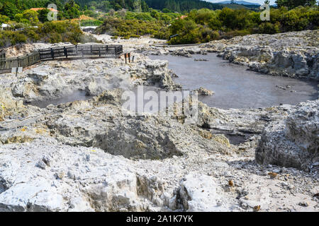 Tikitere, ou "Hell's Gate" est une zone géothermique et touristiques dans arrtaction Rotorua, Nouvelle-Zélande. Il propose des piscines de boue, à la vapeur, fumerolles et plus encore. Banque D'Images