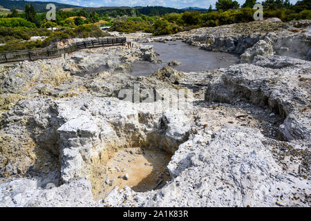 Tikitere, ou "Hell's Gate" est une zone géothermique et touristiques dans arrtaction Rotorua, Nouvelle-Zélande. Il propose des piscines de boue, à la vapeur, fumerolles et plus encore. Banque D'Images