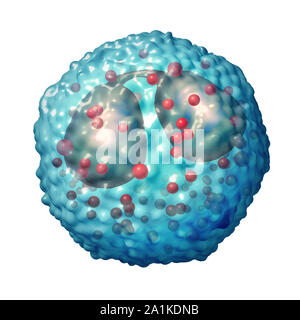 Globules blancs éosinophiles reliées au système immunitaire et les allergies ou d'asthme comme une condition médicale comme un concept d'anatomie 3D illustration. Banque D'Images