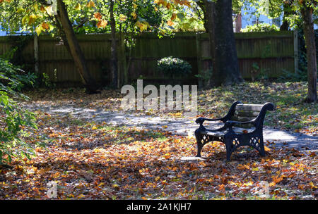 Un banc de parc et un épais tapis de feuilles d'automne brun sur le terrain, marron et vert avec des feuilles sur les arbres dans le parc. Banque D'Images