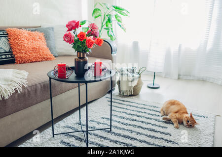 Intérieur de salle de séjour décorée de fleurs sur une table basse et d'un chat couché sur le tapis et de jouer. Des roses fraîches Banque D'Images