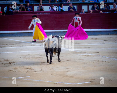 MADRID, ESPAGNE-22 septembre 2019 : première étape de la corrida, le tercio de varas ("partie de lances'). Matadors et bull à la plaza de toros (arènes) d Banque D'Images