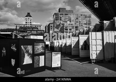 PHOTOVILLE NYC 2019 au pont de Brooklyn Park, New York Banque D'Images