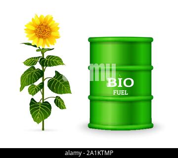 Fût métallique avec du carburant bio et de tournesol isolé sur fond blanc. Concept d'usines de biocarburants Illustration de Vecteur