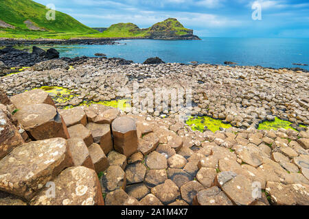Giant's Causeway Irlande du Nord Banque D'Images