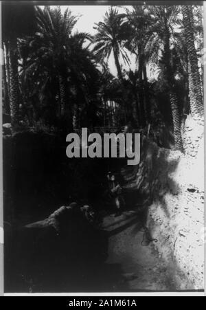 Bien à attirer l'Oasis Al-gowf Banque D'Images