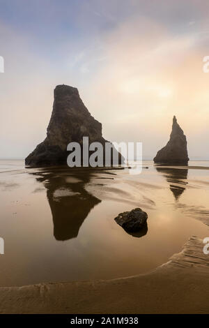 Bandon Beach sea stacks en fin d'après-midi le brouillard, Bandon, Oregon, USA Banque D'Images