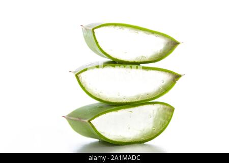 L'aloe vera, portrait, close-up. Banque D'Images