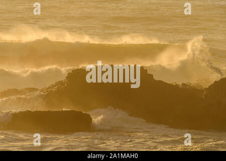 Seal Rocks et les vagues se brisant près de Sunset, Seal Rock State Recreation Site, Seal Rock, Oregon, USA Banque D'Images