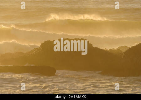 Seal Rocks et les vagues se brisant près de Sunset, Seal Rock State Recreation Site, Seal Rock, Oregon, USA Banque D'Images