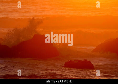 Seal Rocks et les vagues se brisant près de Sunset, Seal Rock State Recreation Site, Seal Rock, Oregon, USA Banque D'Images