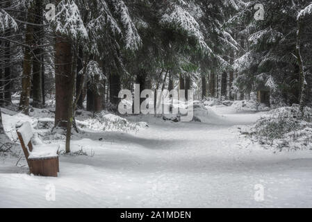 Hiver neige paysage avec une allée couverte de neige à travers les arbres enneigés et un banc en bois, à Bad Wildbad, Allemagne. Décor hivernal féérique. Banque D'Images