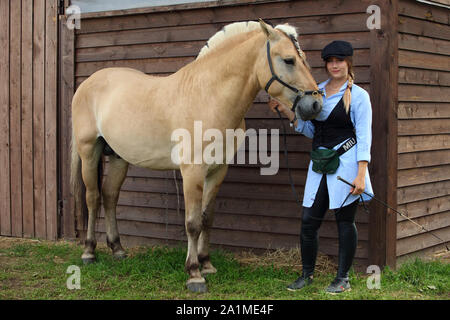 Norwegian Fjord Horse Country Girl avec grange en bois en arrière-plan Banque D'Images