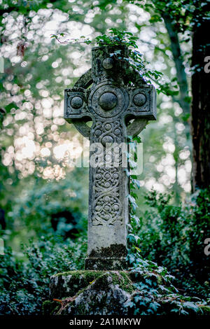 Celtic croix de pierre monument couvert de lierre sur un cimetière dans une forêt Banque D'Images