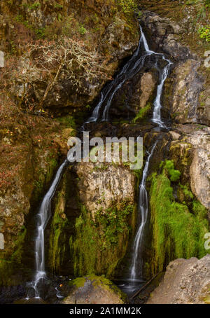 Dame assise Falls, Sooke (Colombie-Britannique), Canada Banque D'Images