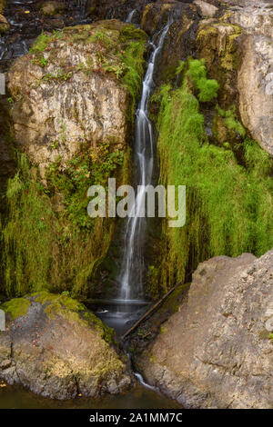 Dame assise Falls, Sooke (Colombie-Britannique), Canada Banque D'Images