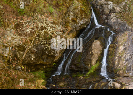 Dame assise Falls, Sooke (Colombie-Britannique), Canada Banque D'Images