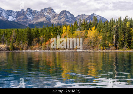 Autumn aspens sur la rive du lac Chilko reflétée dans l'eau du lac, Chilcotin Wilderness, British Columbia, Canada Banque D'Images