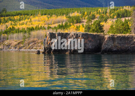 Autumn aspens sur la rive du lac Chilko reflétée dans l'eau du lac, Chilcotin Wilderness, British Columbia, Canada Banque D'Images