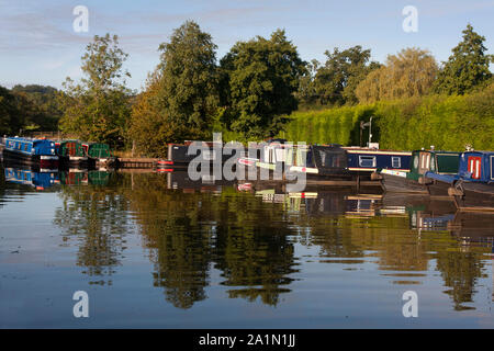 Worcester & Birmingham Canal à Alvechurch Worcestershire, marina Banque D'Images