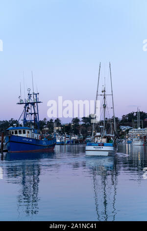 Les bateaux de pêche amarrés dans le port de Newport sur la côte de l'Oregon, USA Banque D'Images