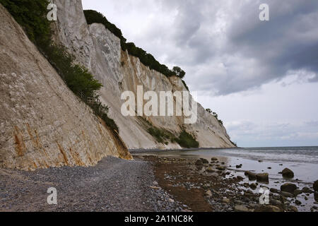 Vue sur la mer falaises de la plage. Mon falaises sont de craie est l'île de mer, au sud de Copenhage. Banque D'Images