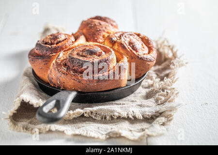 Brioches à la cannelle fraîchement cuit au four avec des épices, du cacao et du sucre Banque D'Images