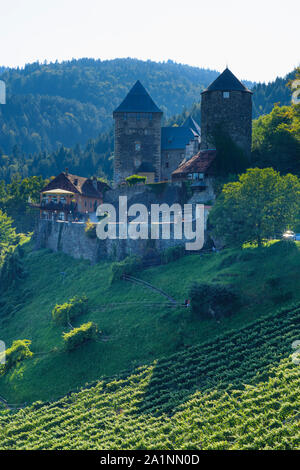 Deutschlandsberg : Deutschlandsberg Château, vignoble, en Autriche, Styrie, Carinthie, Süd-Steiermark Banque D'Images