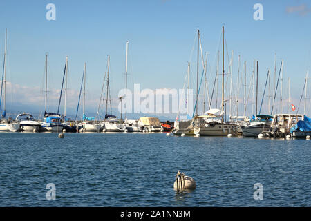 Une bouée blanche avec voiliers du port de plaisance d'Ouchy un jour d'été en juillet 2019. Ouchy est le port à Lausanne, Suisse Banque D'Images