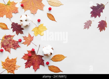 Composition d'automne. Cadre fait de fleurs de coton, de feuilles séchées sur fond blanc. Automne, automne concept. Mise à plat, vue du dessus, copy space Banque D'Images