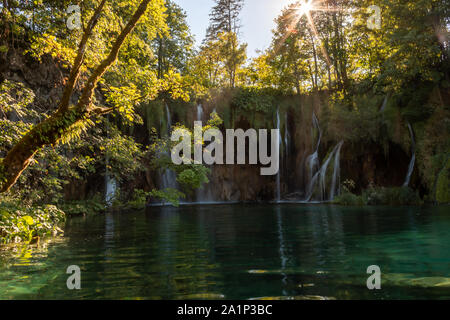 De l'eau arbre warterfall Croatie Banque D'Images