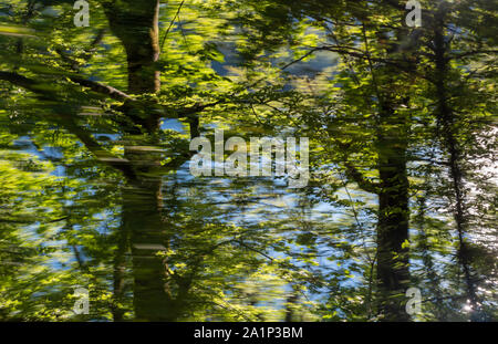 De l'eau arbre warterfall Croatie Banque D'Images