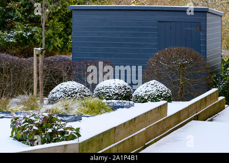 Élégant et contemporain, l'aménagement paysager et la plantation (touche d) sur un lit en bois soulevé par blue shed - les jardin d'hiver, Yorkshire, Angleterre, Royaume-Uni. Banque D'Images