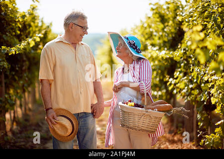 Le vin et le raisin. La récolte des raisins. Happy senior man and woman recueillir produisent des raisins de la vigne Banque D'Images