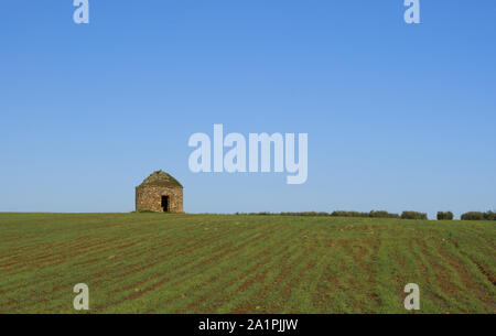 Champ de blé en face de la montagne, et le ciel avec nuages de fond champ de blé à côté de la montagne, et un ciel bleu avec des nuages de fond Banque D'Images