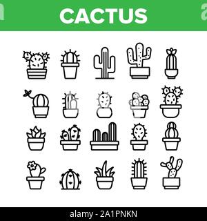 Collection de plantes domestiques Cactus Vector Icons Set Illustration de Vecteur