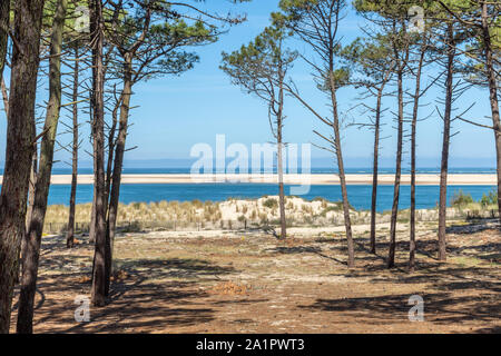 Arcachon (France), vue sur le banc d'Arguin Banque D'Images